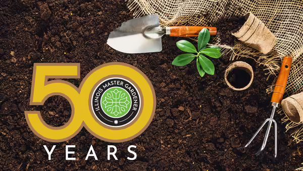 50 years master gardener logo on soil with garden tools 