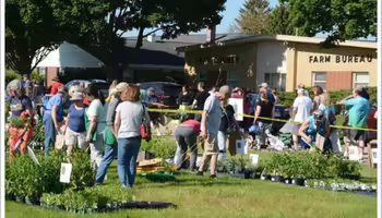 Plant sale at Lake county